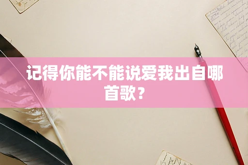 记得你能不能说爱我出自哪首歌？