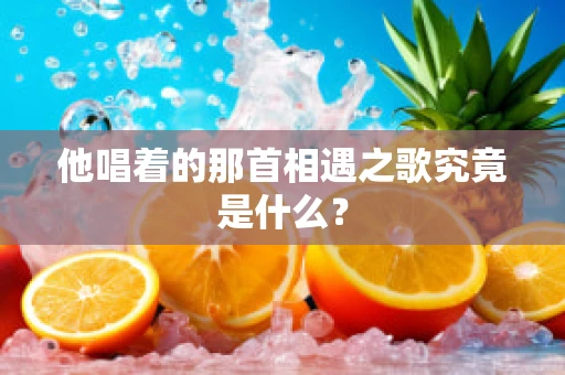 他唱着的那首相遇之歌究竟是什么？