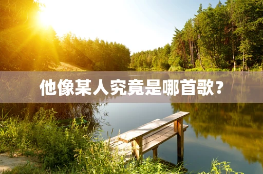 他像某人究竟是哪首歌？