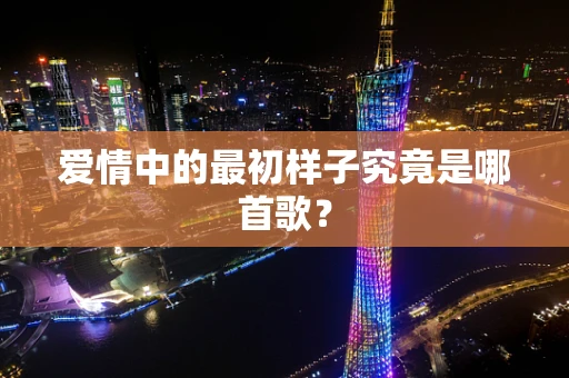 爱情中的最初样子究竟是哪首歌？
