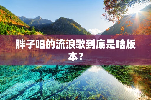 胖子唱的流浪歌到底是啥版本？