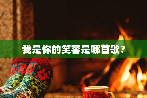 我是你的笑容是哪首歌？