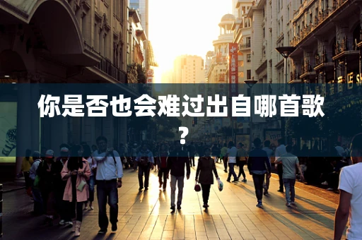 你是否也会难过出自哪首歌？