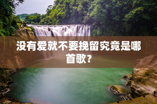没有爱就不要挽留究竟是哪首歌？