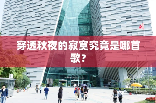 穿透秋夜的寂寞究竟是哪首歌？