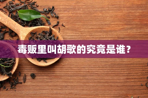 毒贩里叫胡歌的究竟是谁？