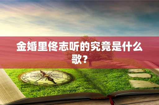 金婚里佟志听的究竟是什么歌？