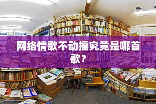 网络情歌不动摇究竟是哪首歌？