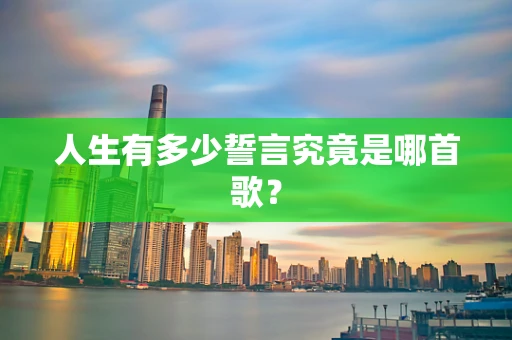 人生有多少誓言究竟是哪首歌？
