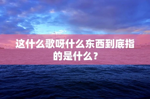 这什么歌呀什么东西到底指的是什么？