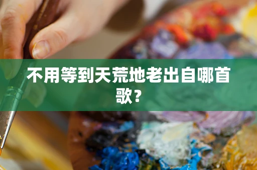 不用等到天荒地老出自哪首歌？