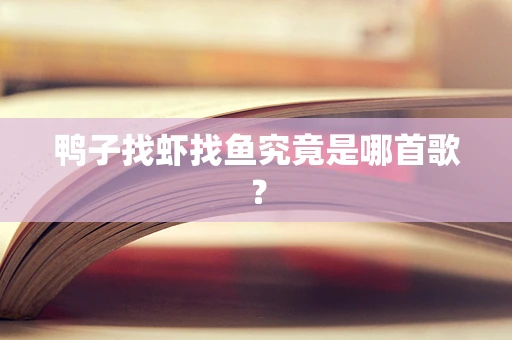 鸭子找虾找鱼究竟是哪首歌？