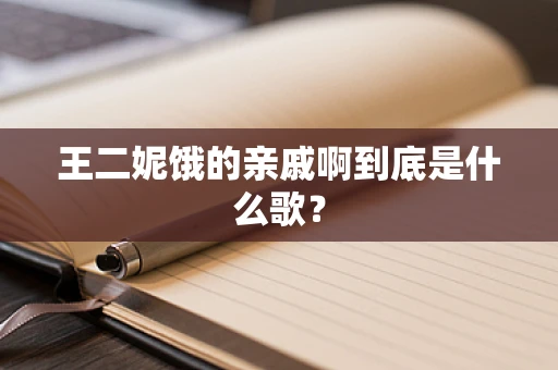 王二妮饿的亲戚啊到底是什么歌？