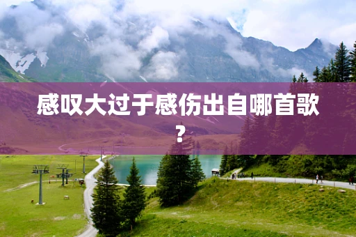 感叹大过于感伤出自哪首歌？