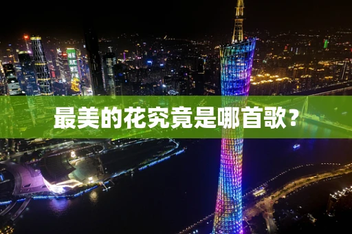 最美的花究竟是哪首歌？
