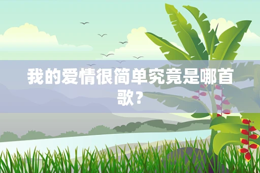 我的爱情很简单究竟是哪首歌？