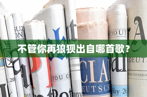 不管你再狼狈出自哪首歌？