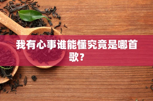 我有心事谁能懂究竟是哪首歌？