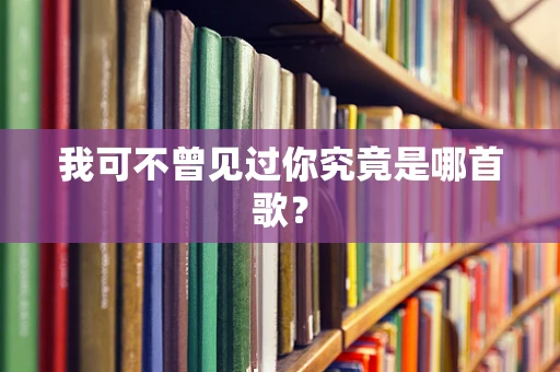 我可不曾见过你究竟是哪首歌？