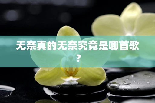 无奈真的无奈究竟是哪首歌？
