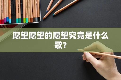 愿望愿望的愿望究竟是什么歌？