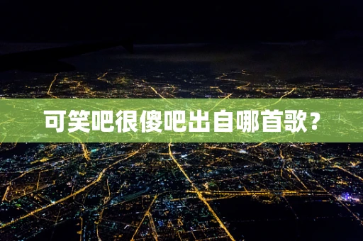 可笑吧很傻吧出自哪首歌？