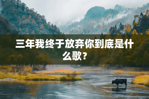三年我终于放弃你到底是什么歌？
