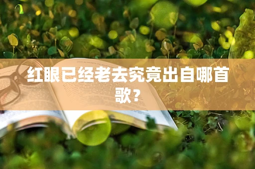 红眼已经老去究竟出自哪首歌？
