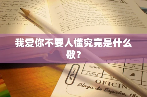 我爱你不要人懂究竟是什么歌？