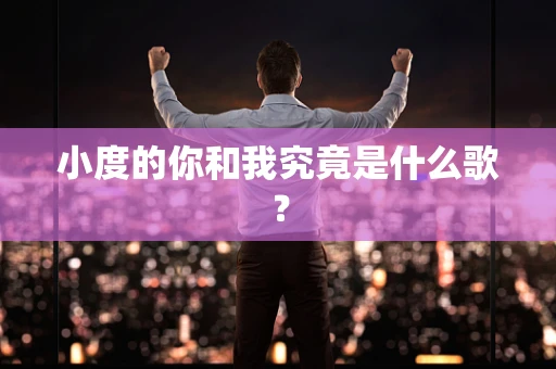 小度的你和我究竟是什么歌？