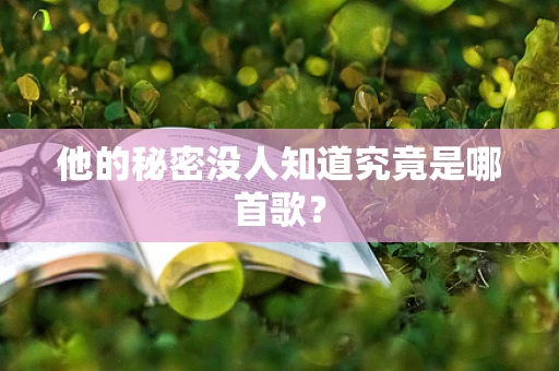 他的秘密没人知道究竟是哪首歌？