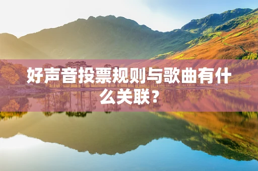 好声音投票规则与歌曲有什么关联？
