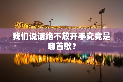 我们说话绝不放开手究竟是哪首歌？