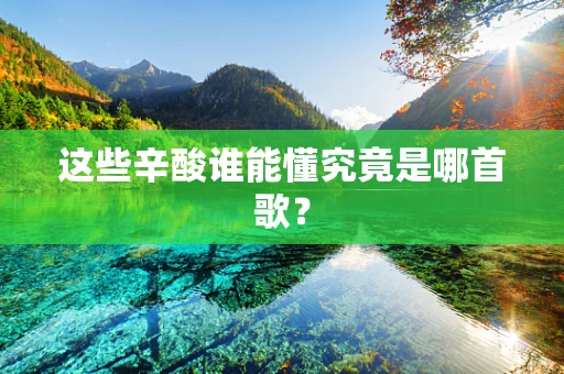 这些辛酸谁能懂究竟是哪首歌？
