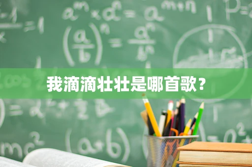 我滴滴壮壮是哪首歌？