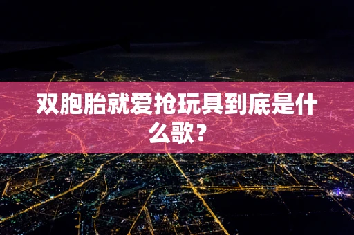 双胞胎就爱抢玩具到底是什么歌？