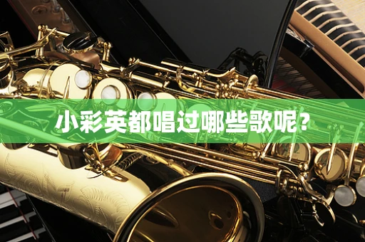 小彩英都唱过哪些歌呢？