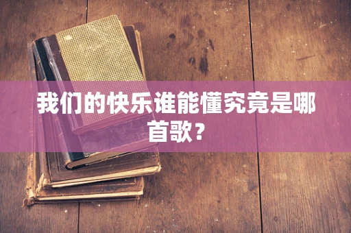 我们的快乐谁能懂究竟是哪首歌？