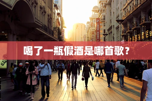 喝了一瓶假酒是哪首歌？