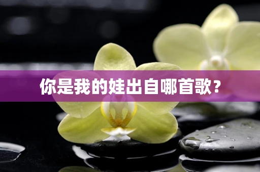 你是我的娃出自哪首歌？