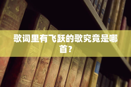 歌词里有飞跃的歌究竟是哪首？