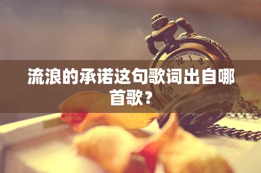 流浪的承诺这句歌词出自哪首歌？