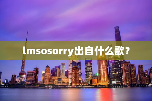 lmsosorry出自什么歌？