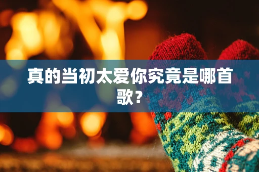 真的当初太爱你究竟是哪首歌？
