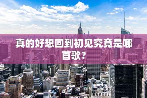真的好想回到初见究竟是哪首歌？