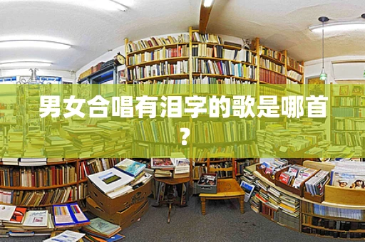 男女合唱有泪字的歌是哪首？