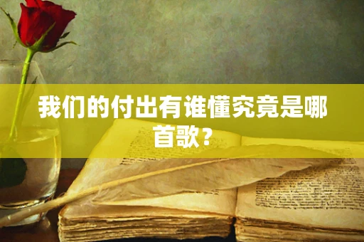 我们的付出有谁懂究竟是哪首歌？
