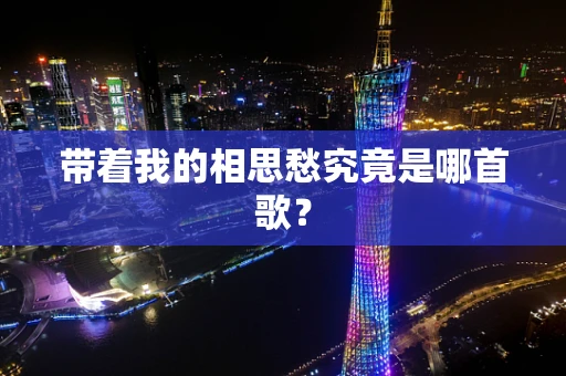 带着我的相思愁究竟是哪首歌？