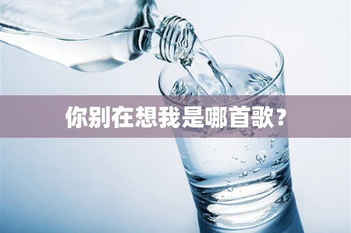 你别在想我是哪首歌？
