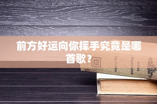 前方好运向你挥手究竟是哪首歌？